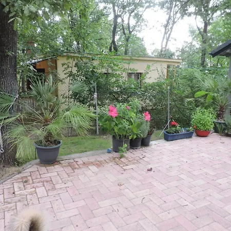 Szepezd Oak Вилла